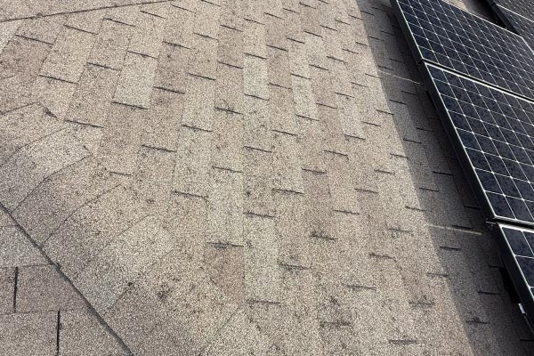 Completed asphalt shingle roof section next to a solar panel array in Haslet, TX